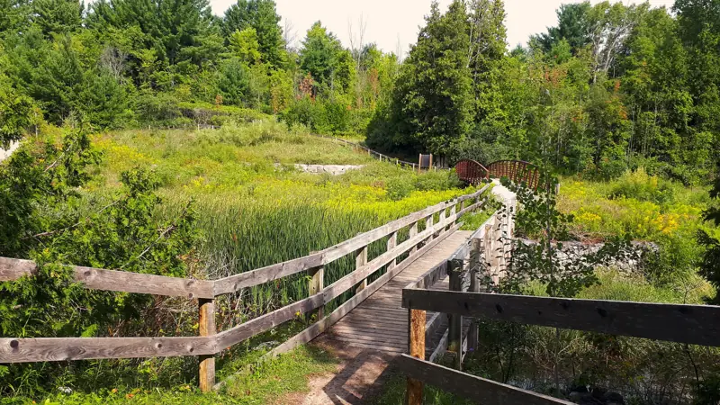Scanlon Creek Conservation Area, Bradford West Gwillimbury